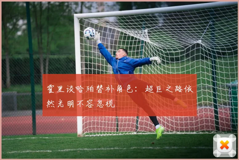 霍里谈哈珀替补角色：超巨之路依然光明不容忽视
